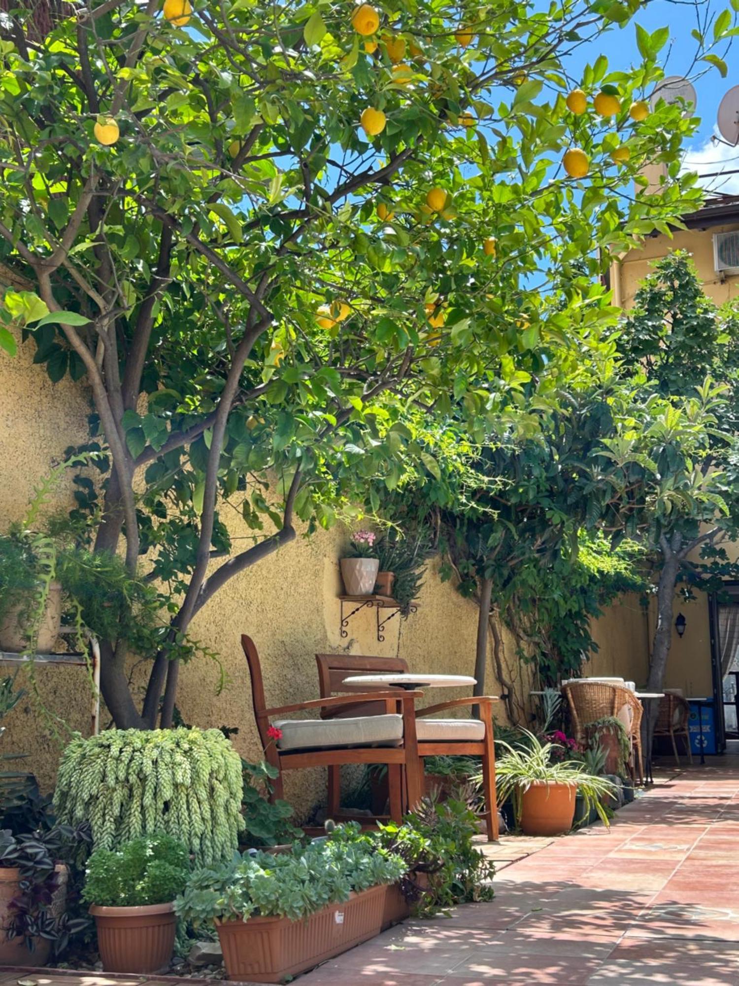 Villa Danlin Hotel ギョジェク エクステリア 写真