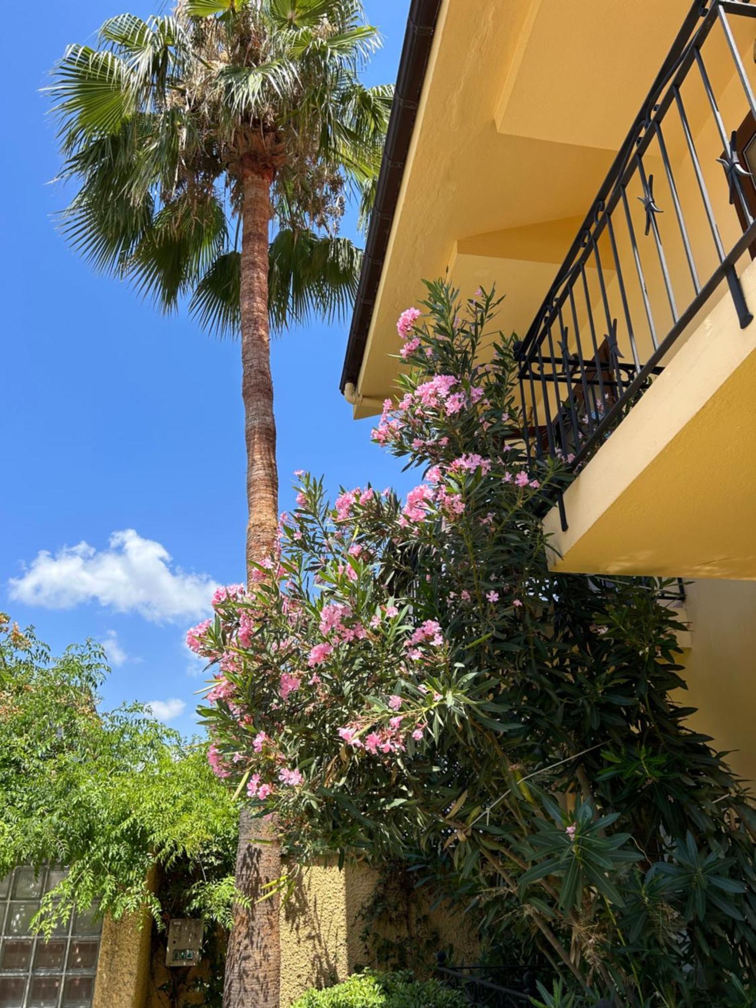 Villa Danlin Hotel ギョジェク エクステリア 写真