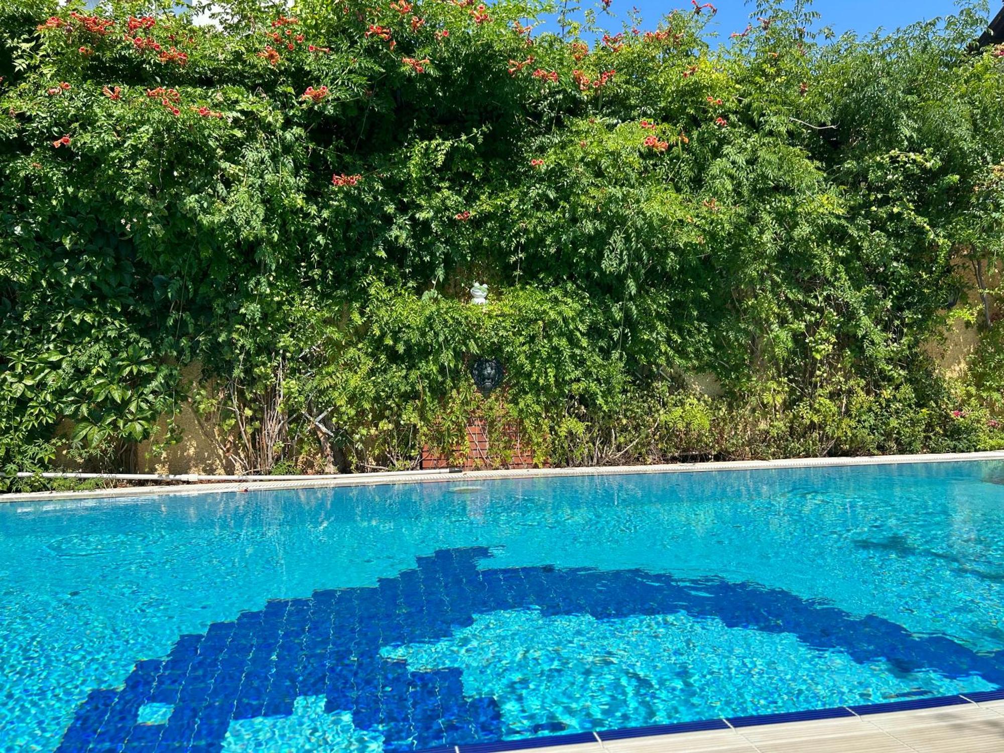 Villa Danlin Hotel ギョジェク エクステリア 写真