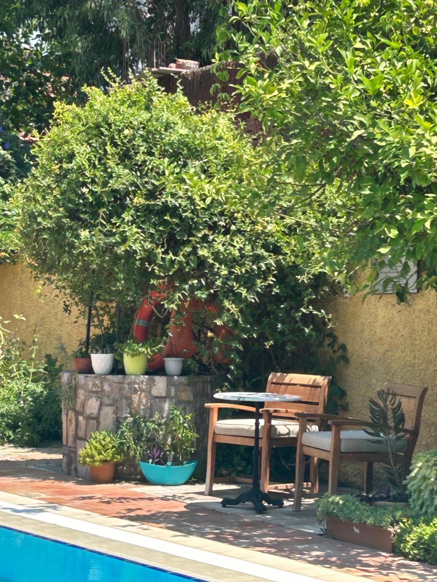 Villa Danlin Hotel ギョジェク エクステリア 写真