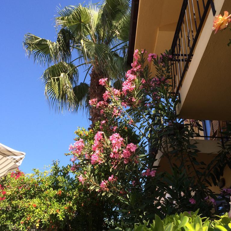 Villa Danlin Hotel ギョジェク エクステリア 写真